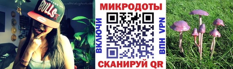 купить наркотик  Фёдоровский  Псилоцибиновые грибы Psilocybe 